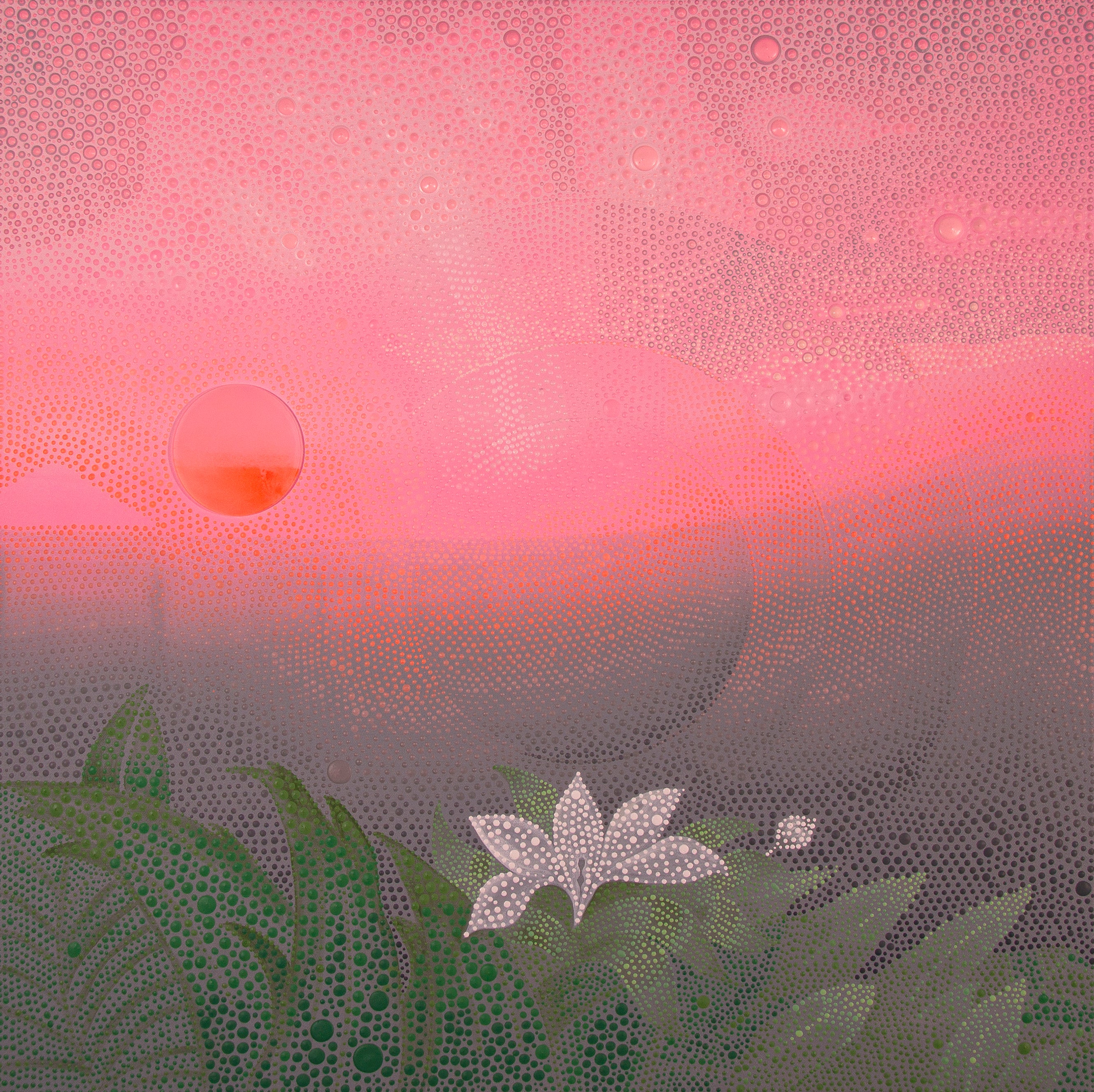 Ewa Tarsia original painting