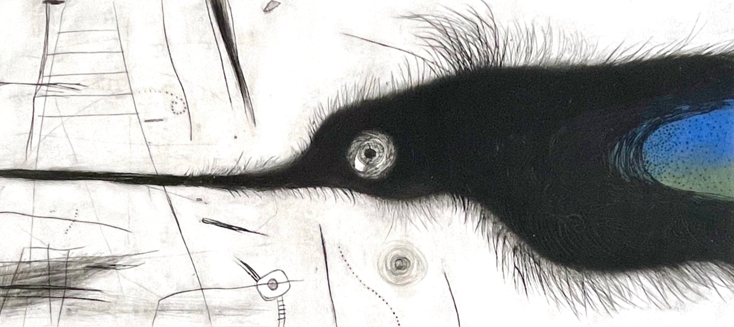 Ewa Tarsia original print